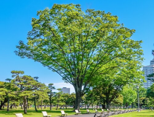 【好評にて期間延長】 25972300_l-2-500x378.jpg 趣味・スポーツ・実用