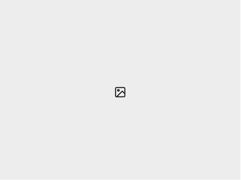 カメムシの種類・図鑑